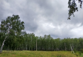 В Омской области похолодает до значений октября