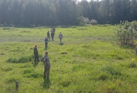 Погибшая грибница из Омской области прошла 15 километров в поисках выхода из леса