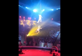 Появилось видео падения воздушной гимнастки в омском цирке