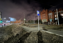 В Омске спилили зеленую изгородь на улице Маршала Жукова