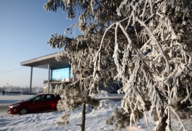 Снегопад в Омской области сменится страшными морозами