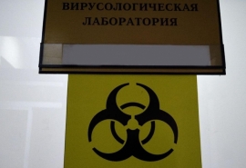 В Омской области обнаружили очаг опасной вирусной инфекции