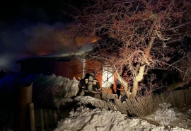 В Омской области названа предварительная причина пожара с гибелью матери и троих детей