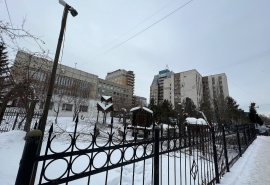 Малый сквер в центре Омска кронировали