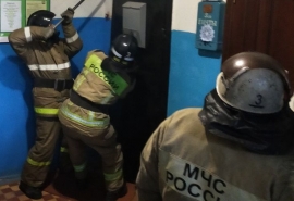 В Омске из квартирного пожара спасли трех школьников