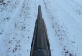 Омская полиция проводит проверку из-за жестокой охоты на волка – его задавили снегоходом