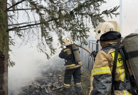 На подступах к Омску остановили пожар в 10 тысяч квадратных метров