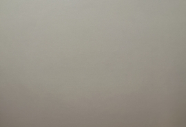 Омские власти объяснили запрет на полеты беспилотников