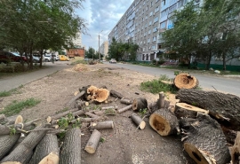В центра Омска произошла масштабная вырубка деревьев