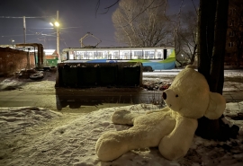 У кинотеатра в Омске задержали мужчину с медведем