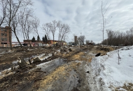Мэрия прокомментировала вырубку дикого парка в Кировском округе Омска