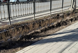 Под только высаженными кустарниками в центре Омска прорвало трубу