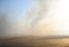 Жителя омского села поймали на поджигании травы возле леса