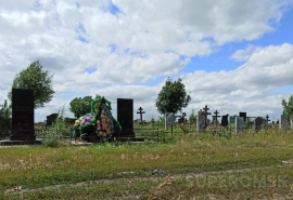 Омские кладбища будут обрабатывать от клещей в несколько этапов