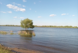 Озвучены итоги хода борьбы с паводком в Усть-Ишимском районе