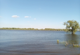 Виталий Хоценко рассказал о ситуации с паводком в Усть-Ишимском районе