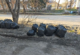 Омские депутаты увидели необходимость в изменении правил поддержания чистоты в городе