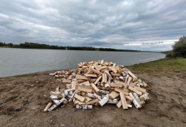 Жители Омской области столкнулись с напастью при заготовке дров