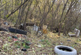 Дружино и три омских СНТ зачистят от свалок