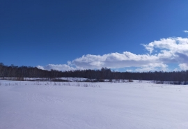 Ждать ли в Омске морозов?