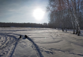 Омскую область и Сибирь захватит мощный фронт с морозами ниже -30 °C