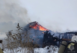 Массовая гибель животных случилась в Омской области из-за пожара