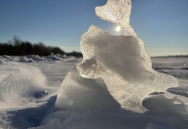 К Омской области приближается фронт с экстремальными морозами до -37 °C