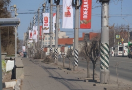 Мэр Омска раскритиковал жесткое кронирование деревьев в центре города