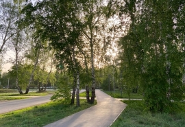 В Омске после зимы открыли дендросад имени Г. И. Гензе с фотозонами