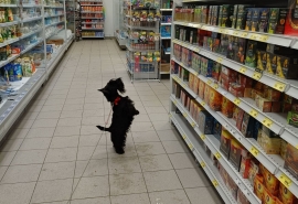 В Омске дистрибьютора крупной сети подозревают в нарушении закона о торговле