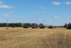 В Омской области могут отменить топливные субсидии аграриям