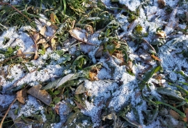 Оглашен неожиданный прогноз погоды на ноябрь в Омской области