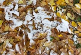 В Омской области очень скоро сильно похолодает