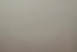 Экс-гендиректор «Омского лекарства» Богдашин потерял еще один руководящий пост