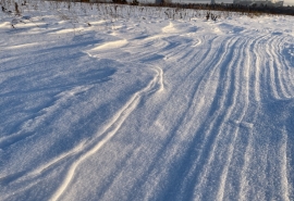 Омские лыжники припомнили «Авангарду» их обещание