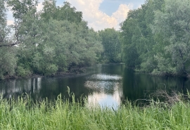 Как бактерии стали союзниками человека