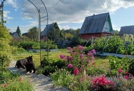 Глава омских садоводов прокомментировал изъятие участков