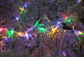 Ожидаются ли в Омске сильные морозы?