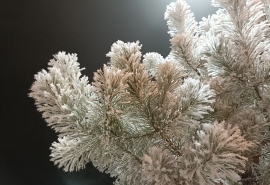 В Омск вернутся мощные морозы