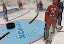 Обслуживающее ледовый дворец спорта в омском Калачинске учреждение ликвидируют