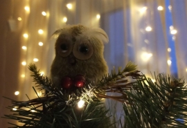 Деды Морозы могут представлять риск для юных омичей