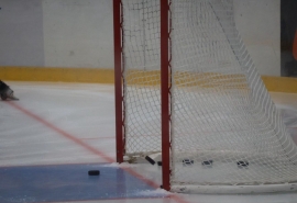 Обслуживающее ледовый дворец спорта в омском Калачинске учреждение ликвидируют