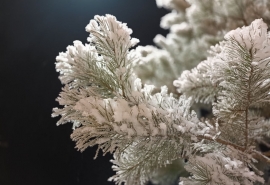 Стала известна дата ухода морозов из Омска