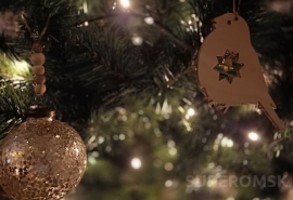 Во «Владениях Деда Мороза» после жалоб омичей появились билеты со скидкой