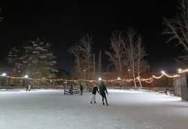 Новый каток на «Зимнем Любинском» станет бесплатным