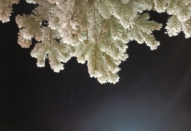 В Омской области ожидается мощная волна морозов: когда их ждать?