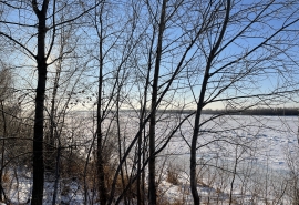 Резкая перемена: погода в Омске будет как в Турции