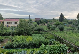 Омские дачи разрешат оформлять в села