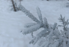 Растирать, греть нельзя: омичам напомнили о запретах при обморожениях?