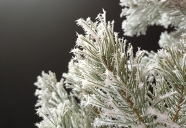 Стала известна дата прекращения морозов в Омске: она наступит скоро